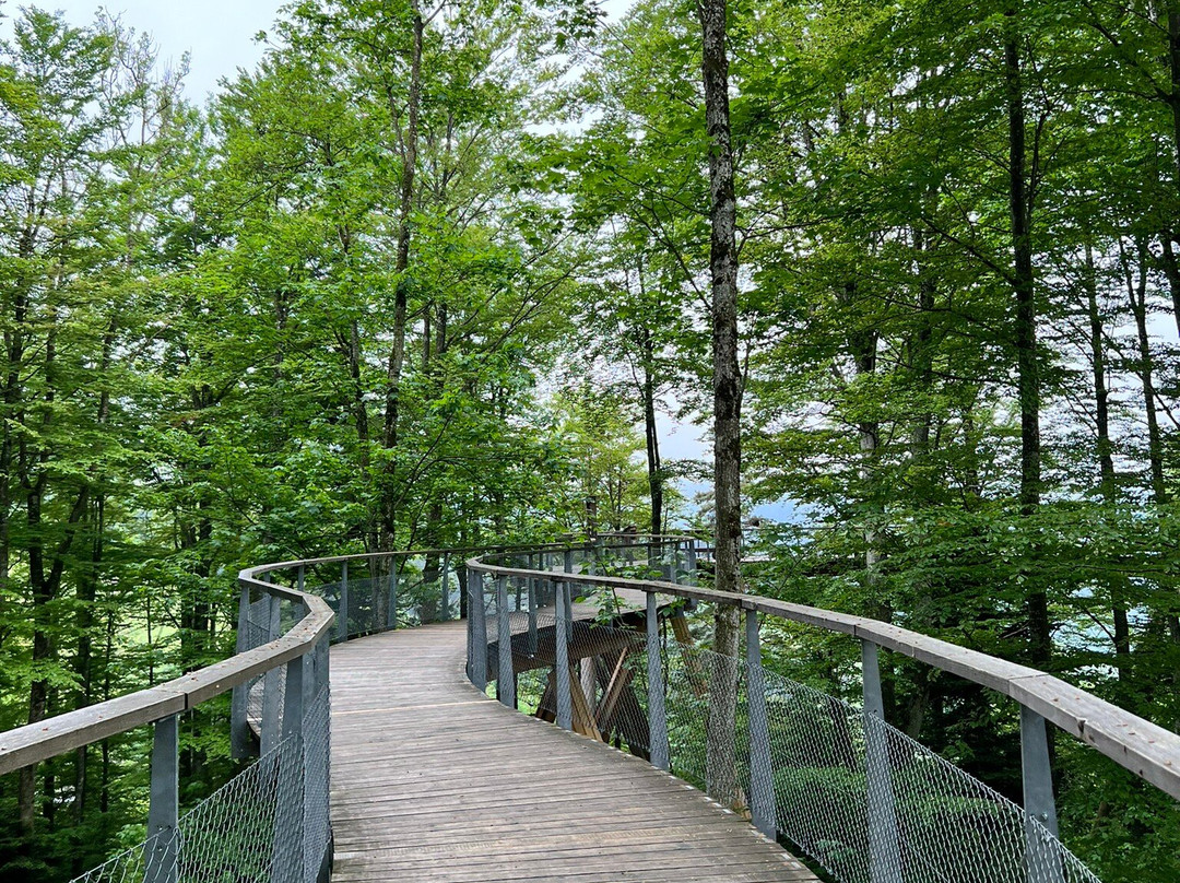Baumwipfelpfad Neckertal-Mogelsberg必去景点