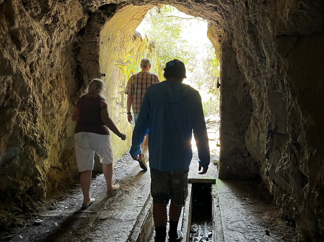 Vortex Cro-维斯必去景点