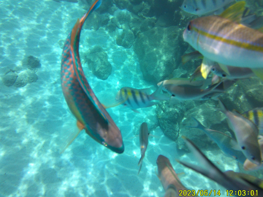 Blue Bay Curaçao Golf & Beach Resort主图