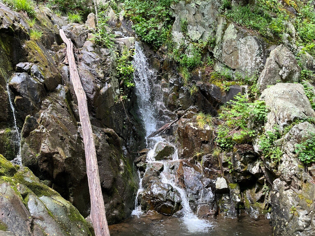 Rose River Falls景点图片