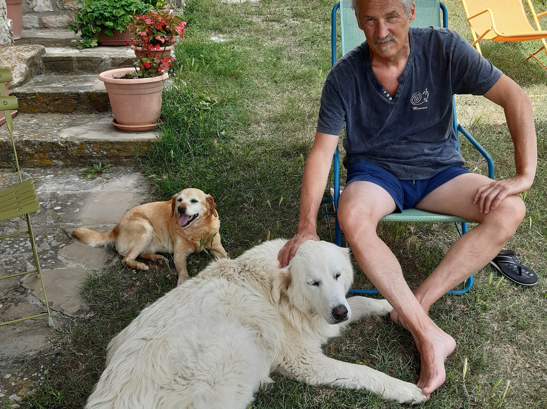 Bio Agriturismo Chignoni主图