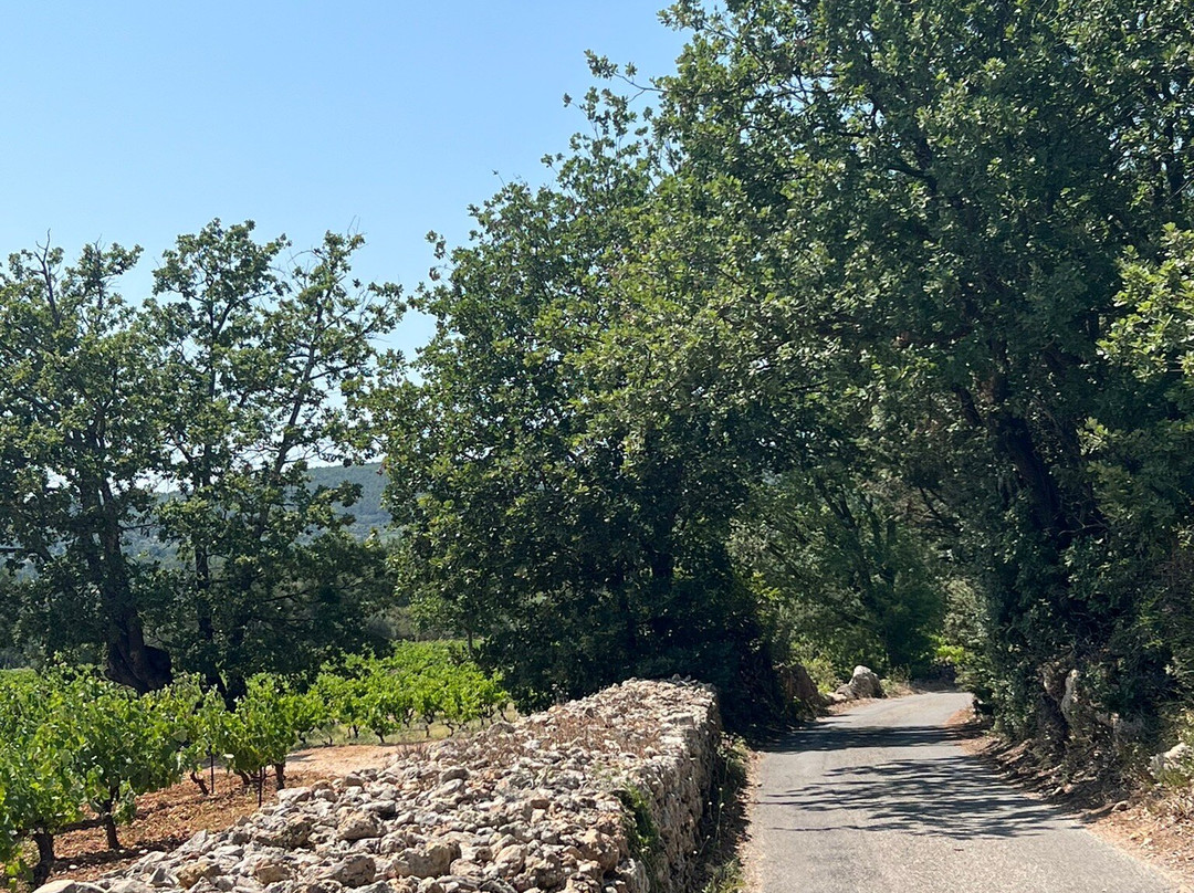 L'Eveil En Provence主图