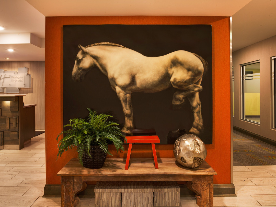 Holiday Inn Express & Suites Fredericton By IHG主图