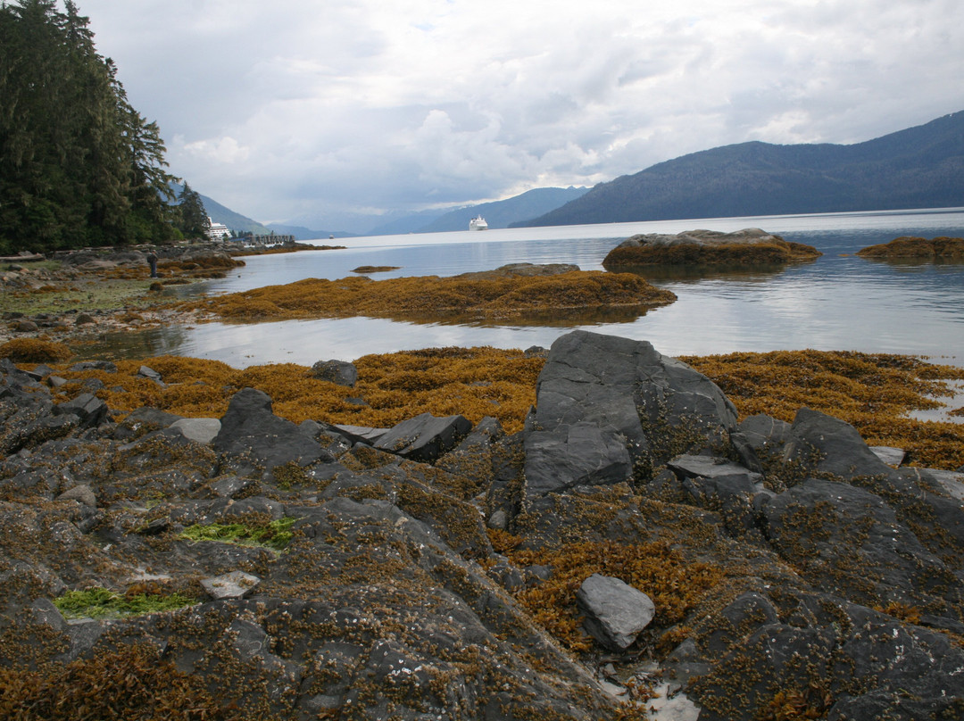 Petroglyph Beach State Historic Site景点图片