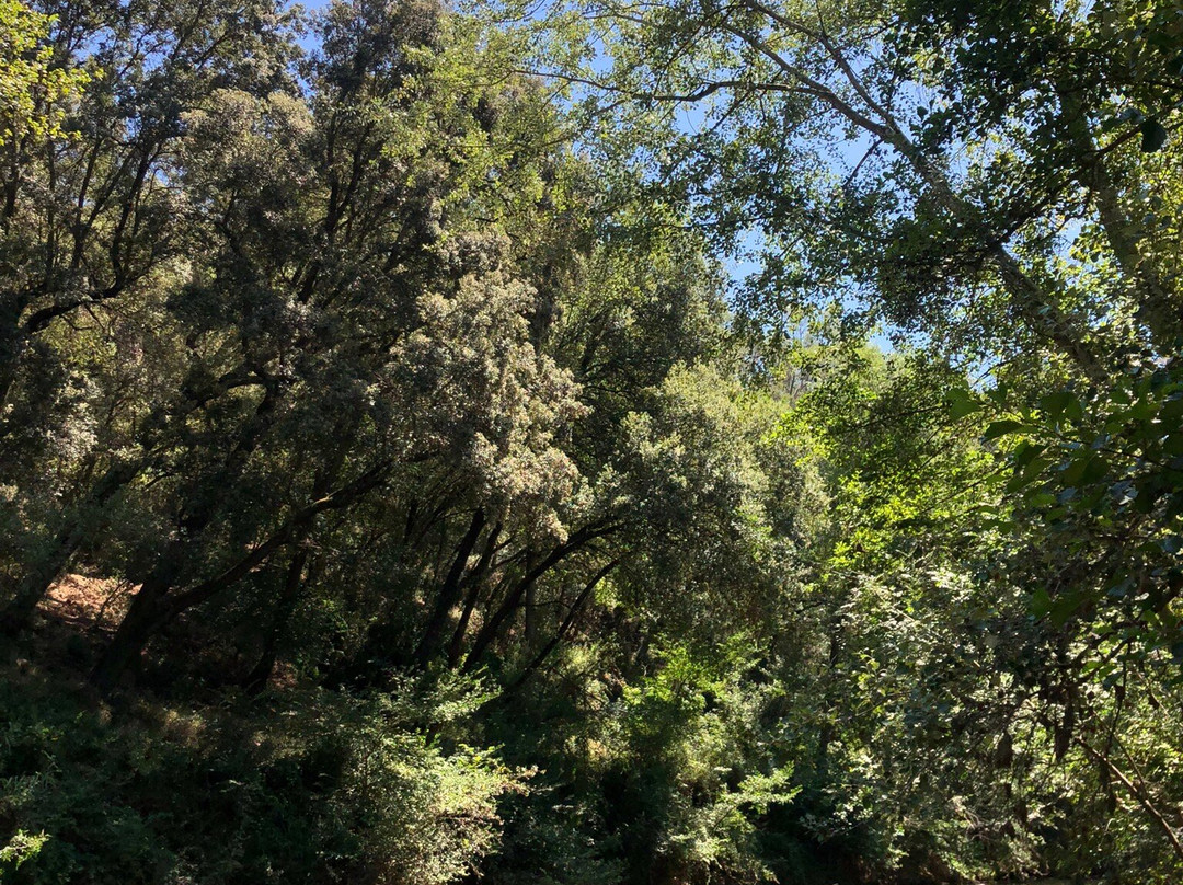 NaturEvasion景点图片