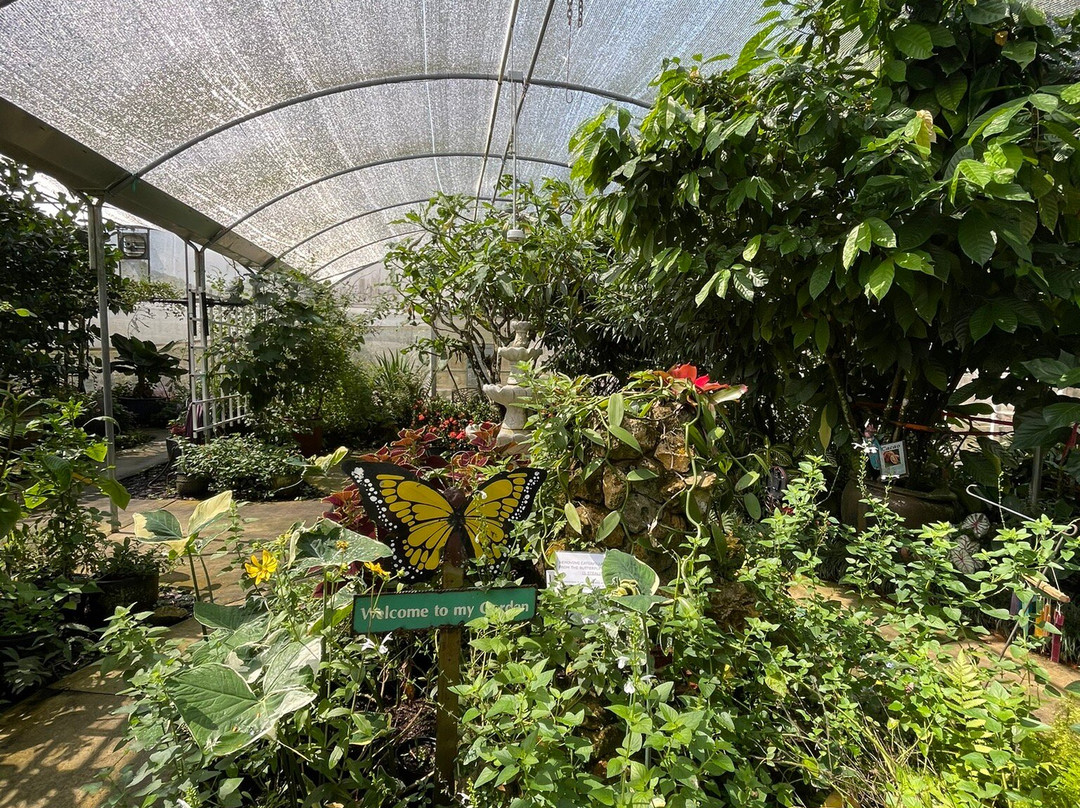 Lukas Nursery & Butterfly Encounter-Oviedo必去景点
