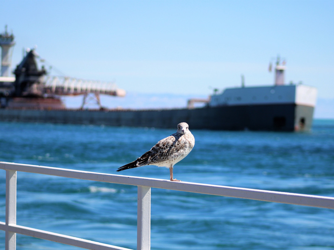 Thomas Edison Parkway Boardwalk-休伦港必去景点