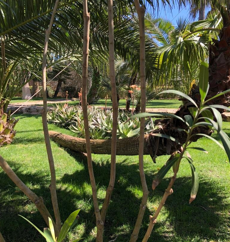 Santa Ponsa - Fontenille Menorca主图