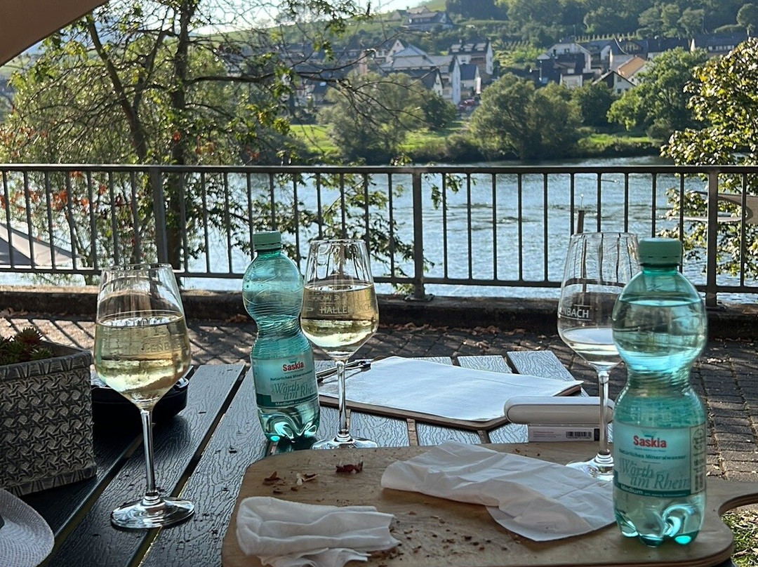 Ferienweingut Hallenbach主图