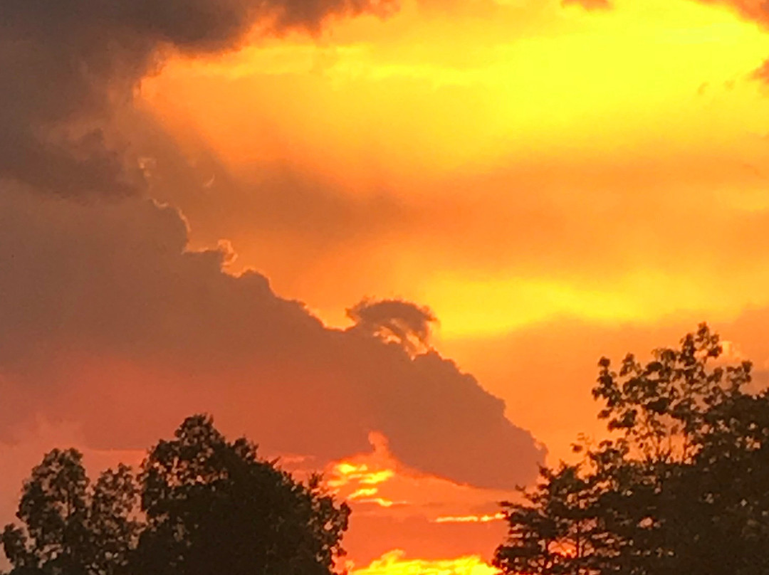 Medaloni Cellars-Lewisville必去景点