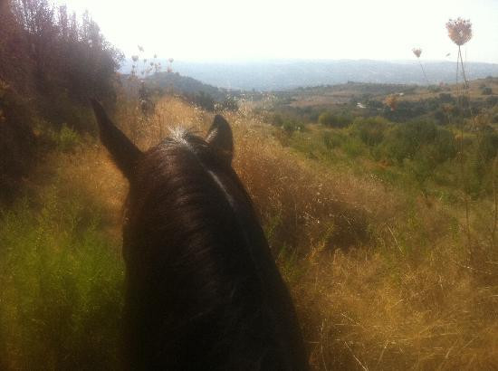 Amargeti Equestrian Club-Amargeti必去景点