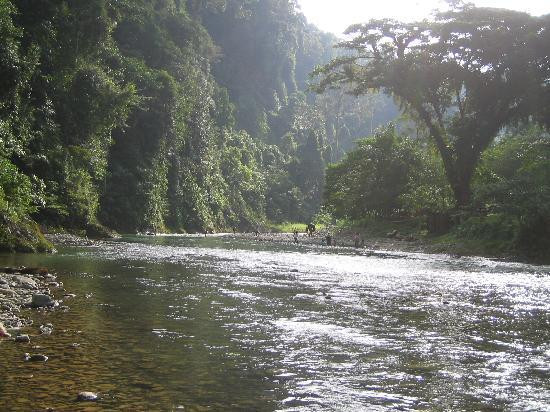 Expedition Jungle-武吉拉旺必去景点