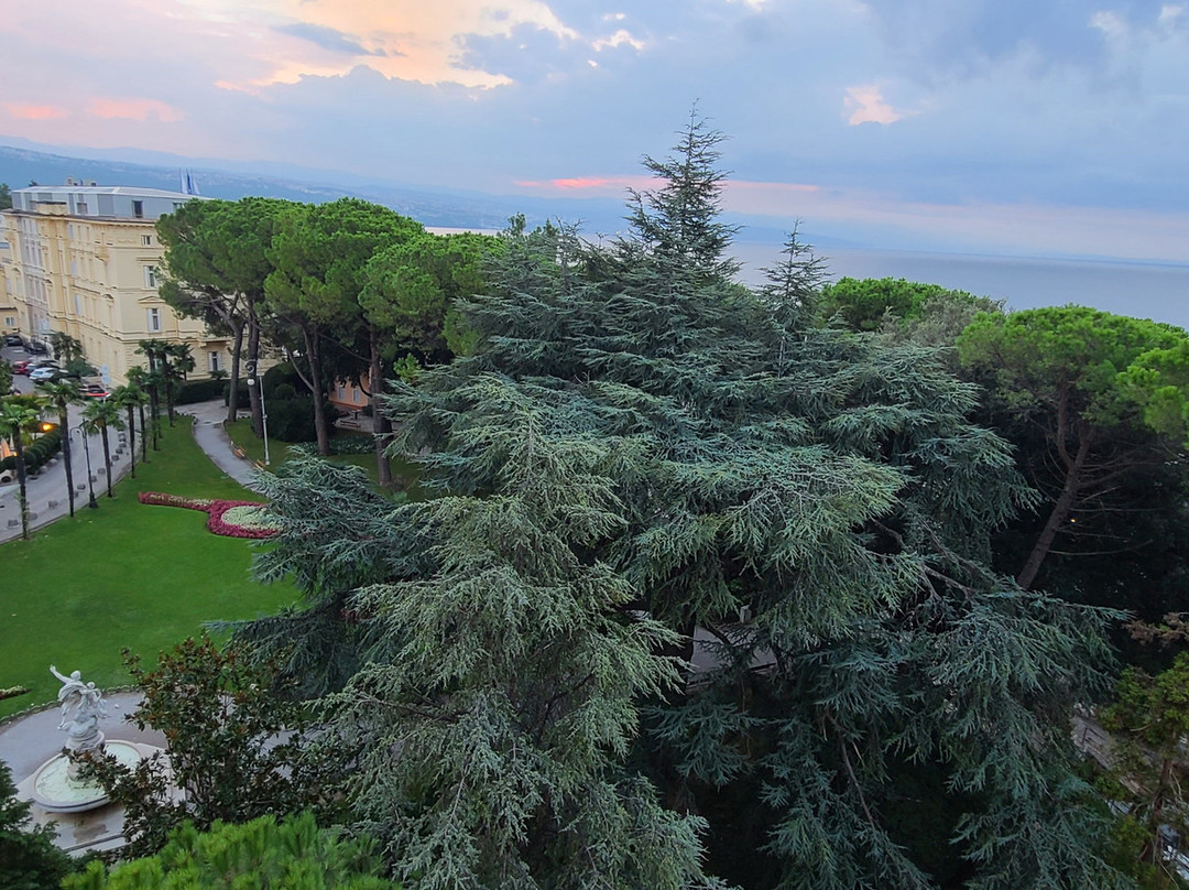 米尔拉尼基酒店主图