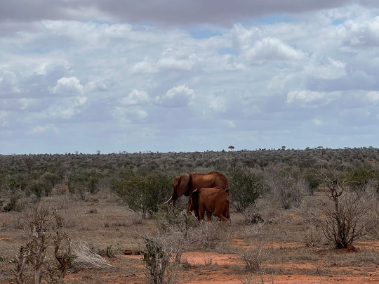 Coast Camping Tours & Safaris-蒙巴萨必去景点