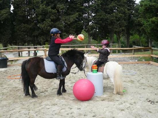 Ferme Equestre de Pommayrac景点图片