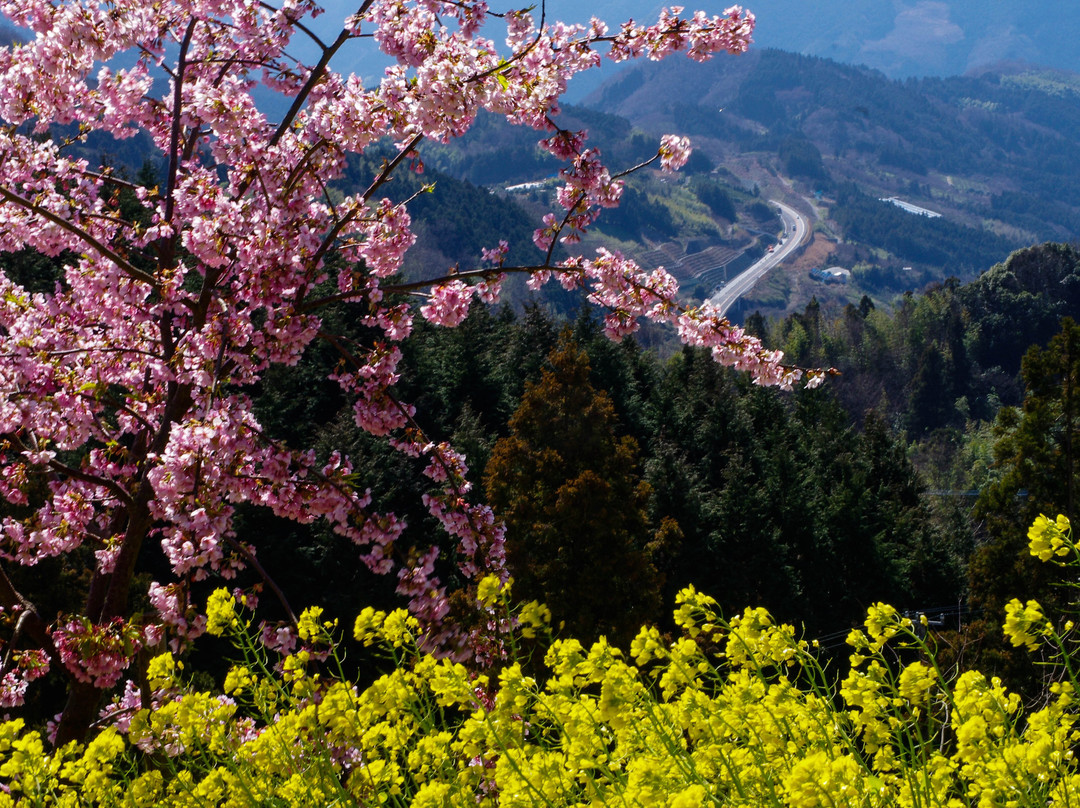 The Yellow Hill at Inuyose Pass-伊矛市必去景点