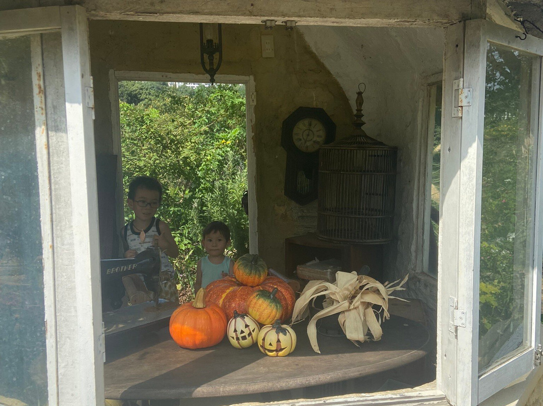 ACAO FOREST-热海市必去景点