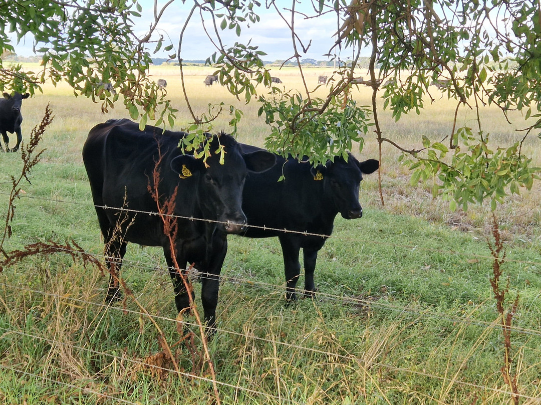 Butterfly Farm B&B主图