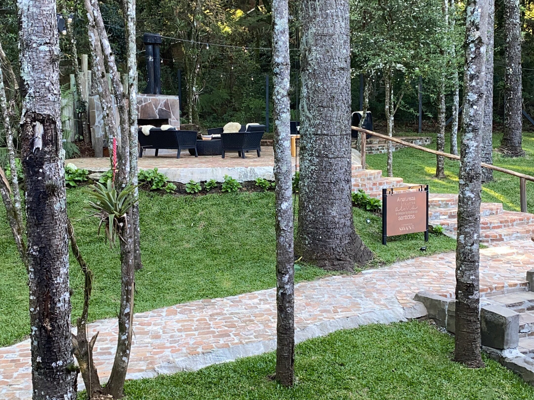 Jangal das Araucárias