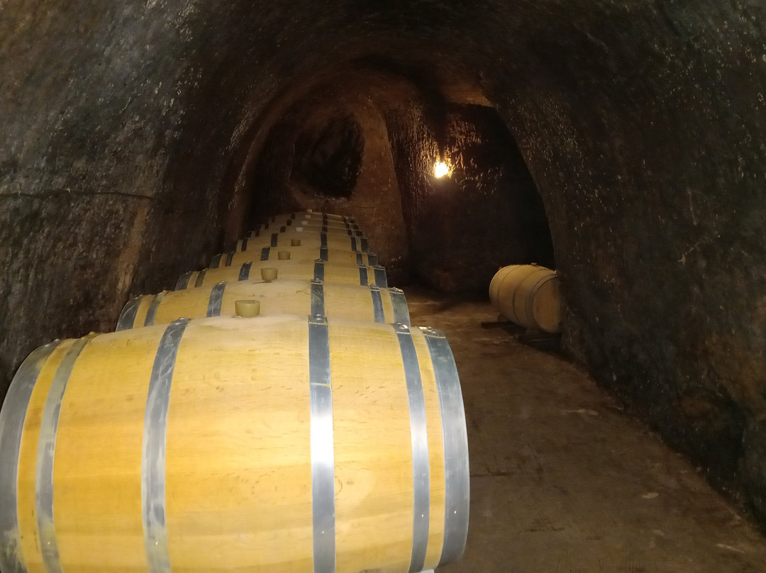 Bodegas Ismael Arroyo景点图片