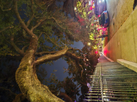 Big Easy Walking Tours-新奥尔良必去景点