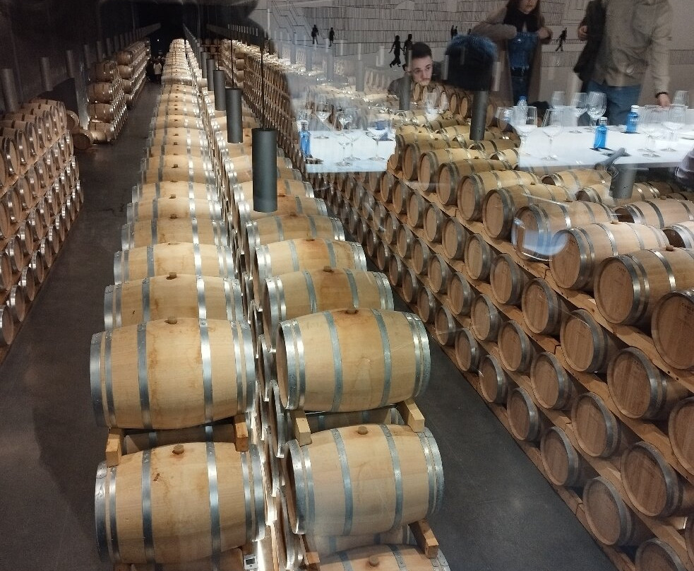 Bodegas Cepa 21景点图片
