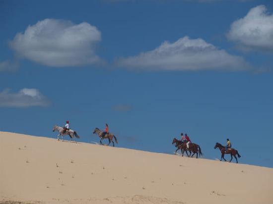 Jericoacoara Stables-杰里科科拉必去景点