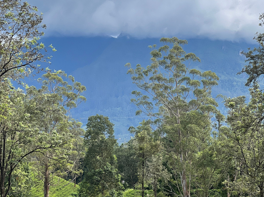 The Lavender House By Reveal主图