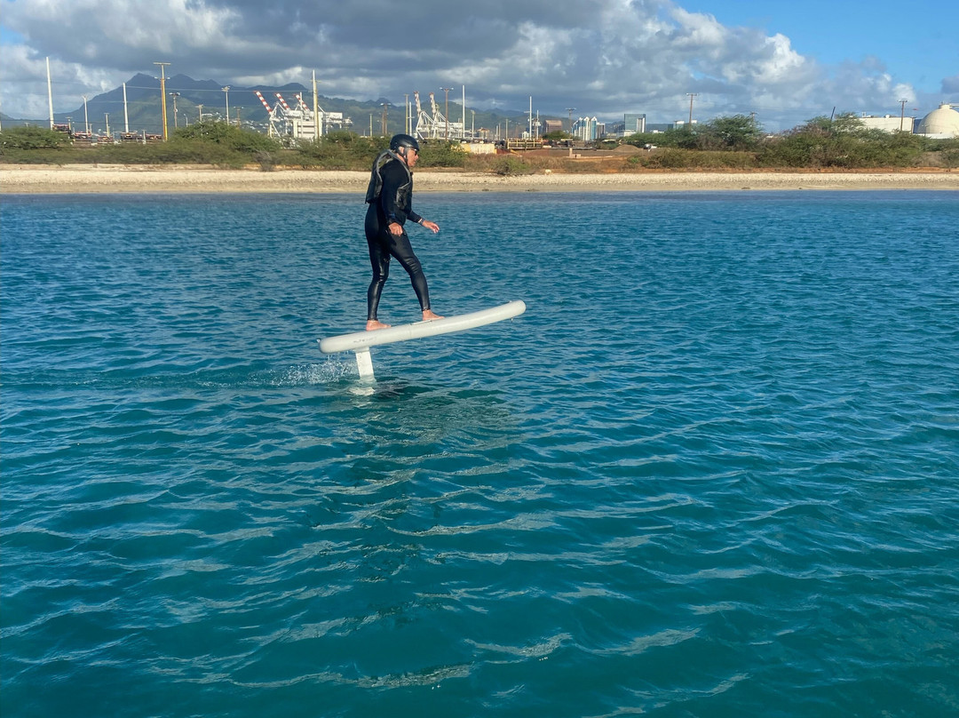 Efoil Waikiki-火奴鲁鲁必去景点
