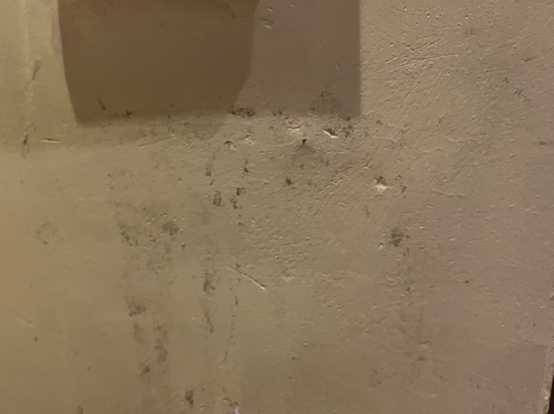 Freedom Island Retreat-Cat Hai必去景点