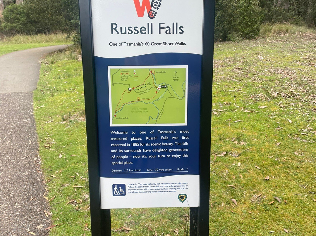 Russell Falls景点图片