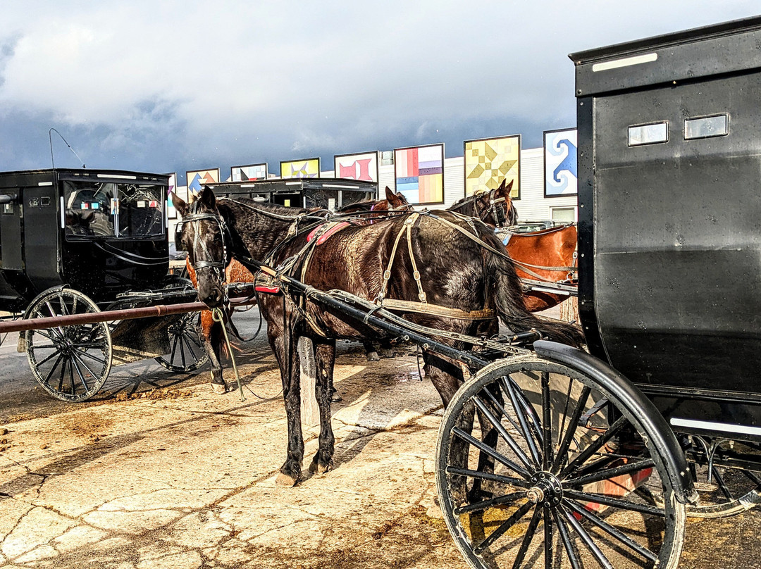 Buggy Lane Tours-Shipshewana必去景点