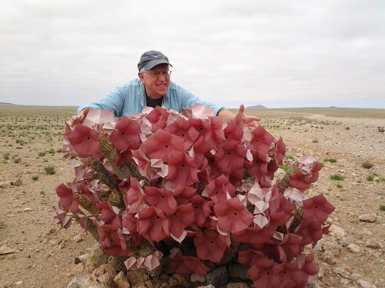 Nali Safaris Namibia-温德和克必去景点