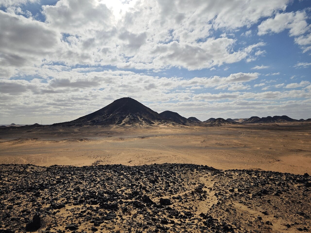 Desert Egypt Safari景点图片