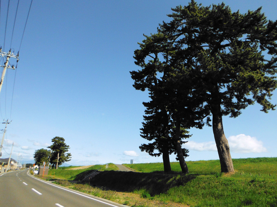 Andon Matsu
