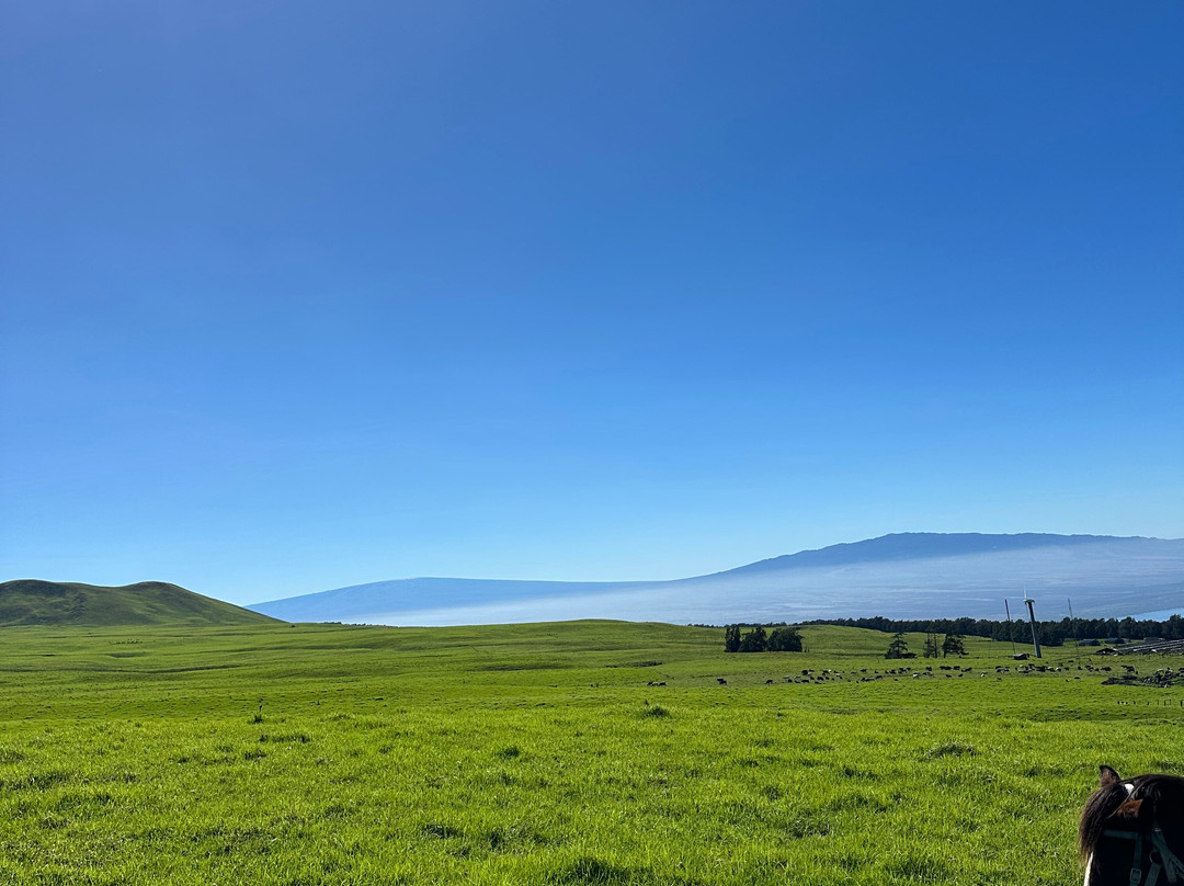 Na'alapa Stables - Kahua Ranch景点图片