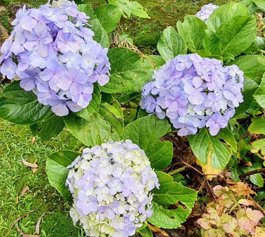 Pousada da Gruta主图