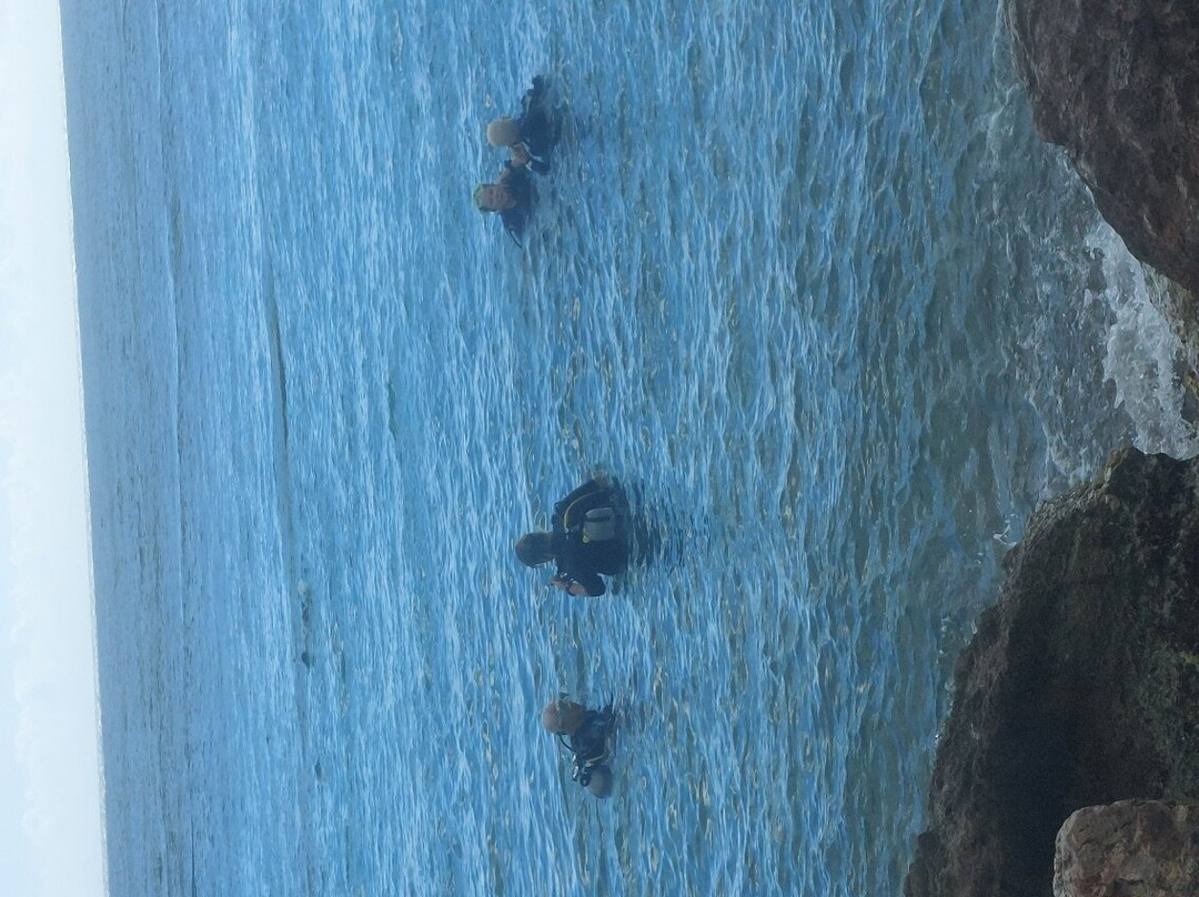 Duik op Curacao-威廉斯塔德必去景点