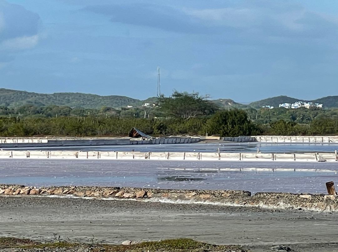 Salinas de Cabo Rojo-Cabo Rojo必去景点