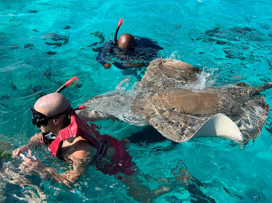 Koamas Dive & Water Sports Centre-Madivaru必去景点