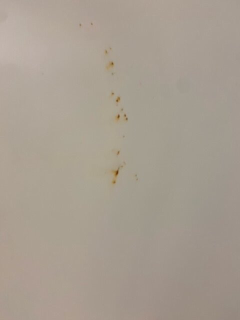 Holiday Inn Express Eunice by IHG主图