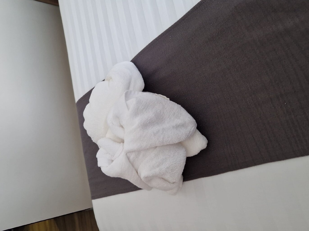 Slive Hotel主图