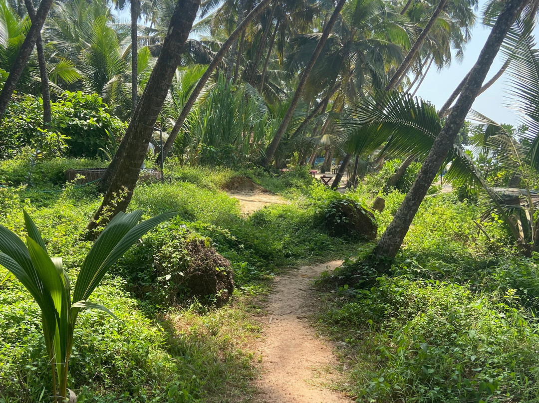 Walk your Talk Retreats景点图片