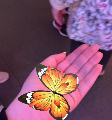 The Butterfly Trail-伦敦必去景点