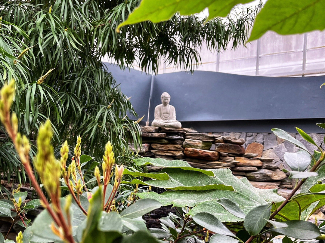 史密斯学院热带植物园景点图片