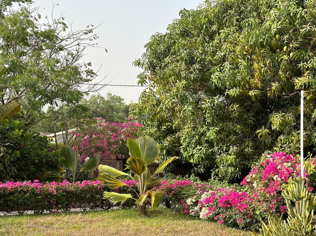 Mariamacounda B&B