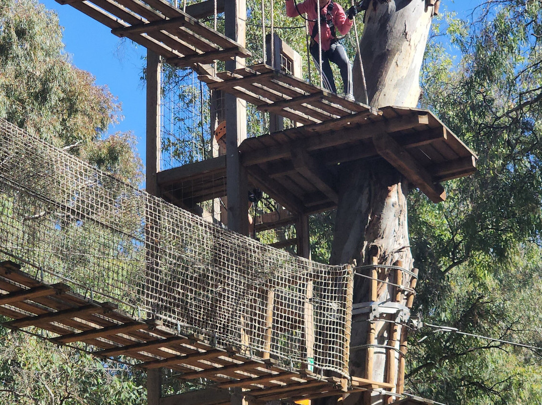 TreeClimb Kuitpo Forest-Kuitpo必去景点