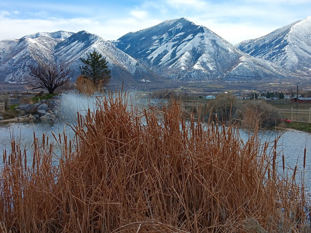 Sri Sri Radha Krishna Temple-西班牙福克必去景点