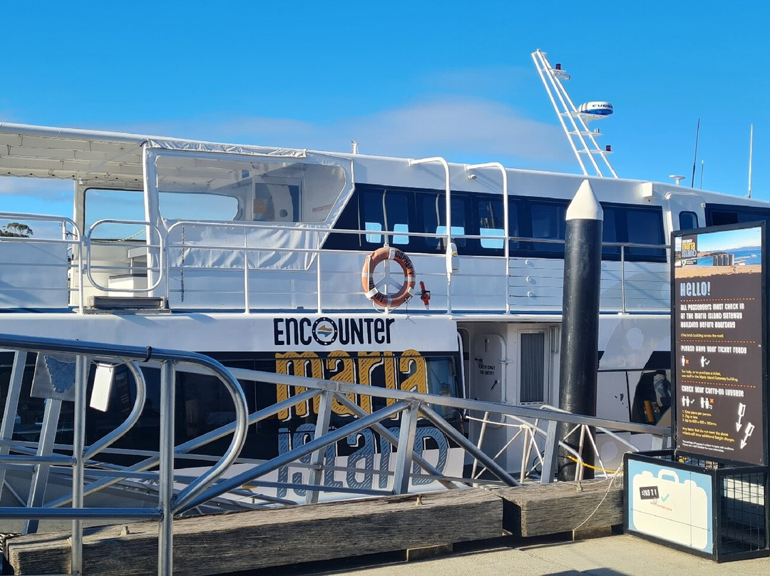 Encounter Maria Island ferry景点图片