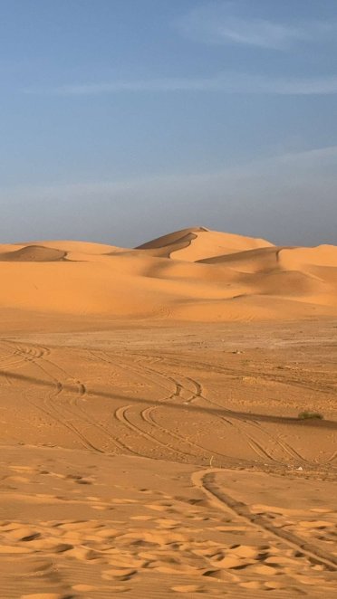 Hotel Taghit Saoura-官方